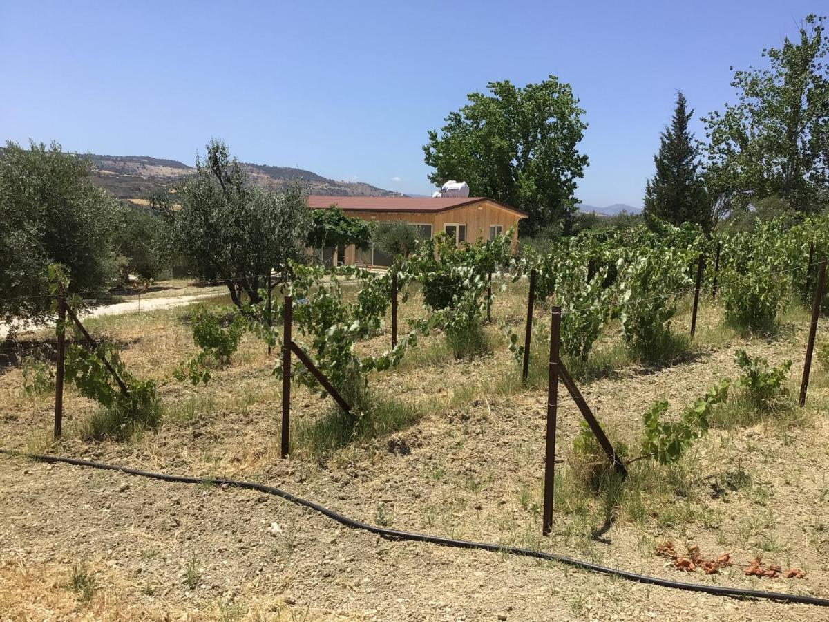 Pervolaris Cottages 2 Γουδί Εξωτερικό φωτογραφία