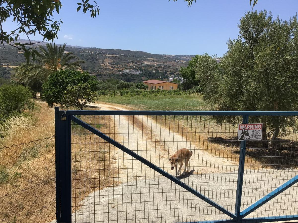 Pervolaris Cottages 2 Γουδί Εξωτερικό φωτογραφία