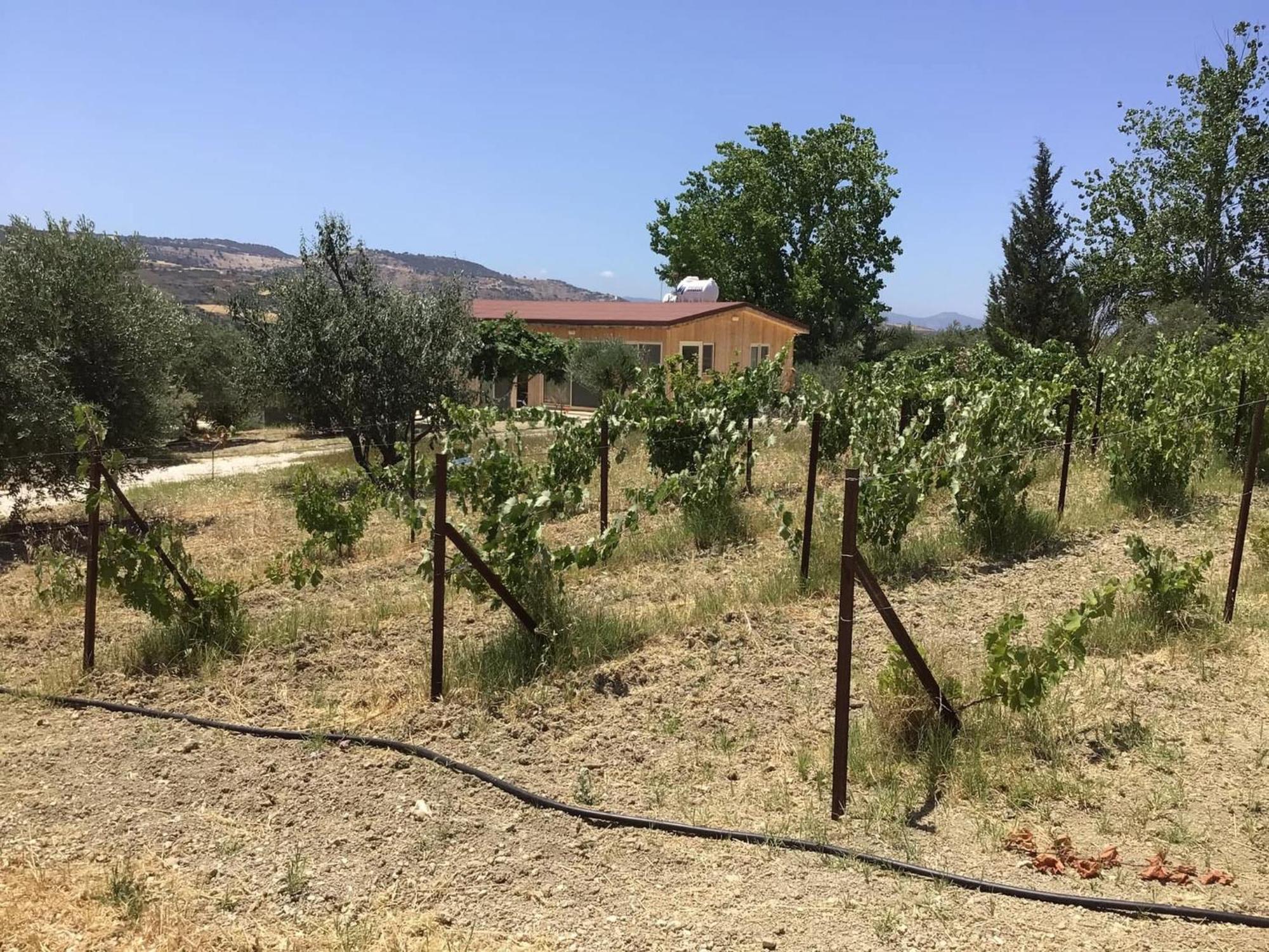 Pervolaris Cottages 2 Γουδί Εξωτερικό φωτογραφία